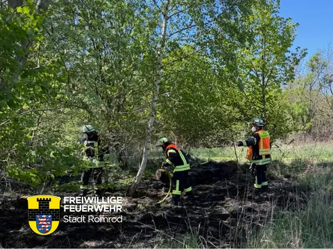 Wald1.jpg